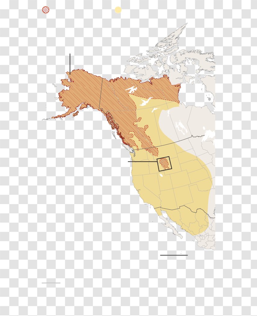 American Black Bear Polar Map Grizzly - Cur - Washington Population Transparent PNG