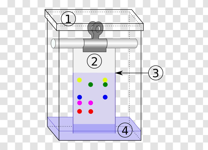 Paper Chromatography Thin-layer Analytical Chemistry - Theresa May Transparent PNG