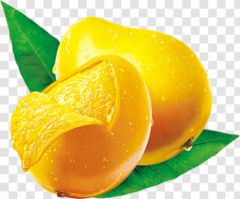 Fresca Citron Lemon Fruit Tangelo - Citric Acid - Green Mango On Leaves Transparent PNG
