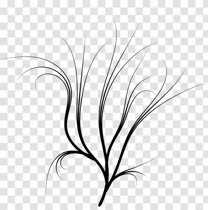 Twig White Grasses Leaf Clip Art - Line - Dal Transparent PNG