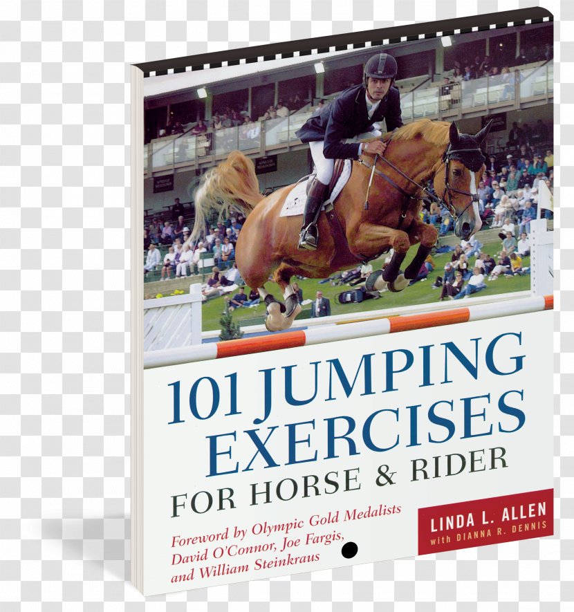 101 Jumping Exercises For Horse & Rider Icelandic Dressage Arena Equestrian - Show - Book Transparent PNG