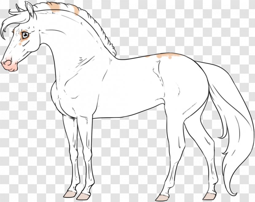 Mustang Foal Colt Stallion Bridle - Sorrel - Rein Transparent PNG