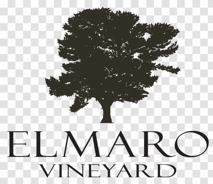 Elmaro Vineyard Common Grape Vine Wine Trempealeau Food Transparent PNG