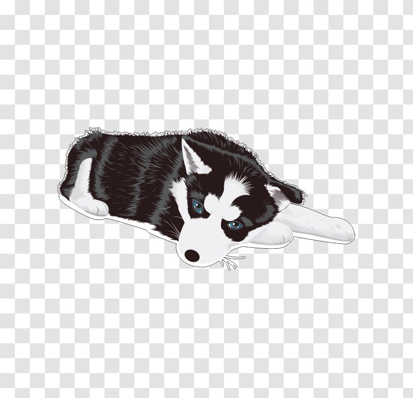 Siberian Husky Puppy - Leash Transparent PNG