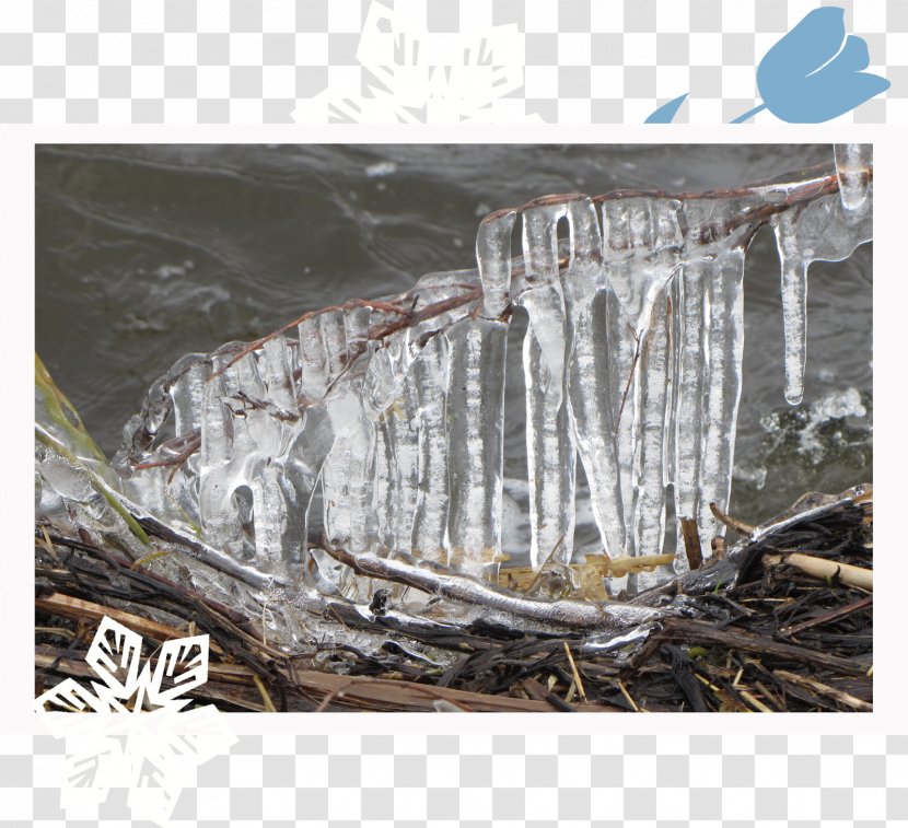 Icicle Wood /m/083vt Transparent PNG