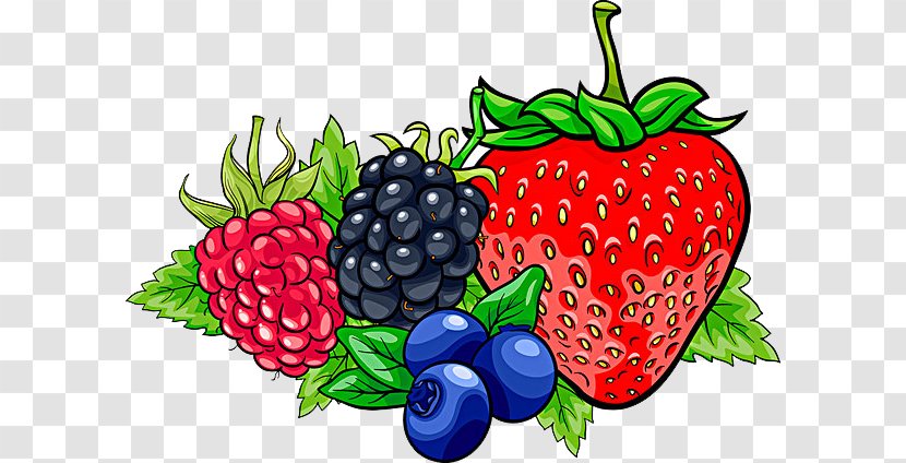 Frutti Di Bosco Cartoon Illustration - Strawberries - Hand-painted Pictures Of Various Fruits Transparent PNG
