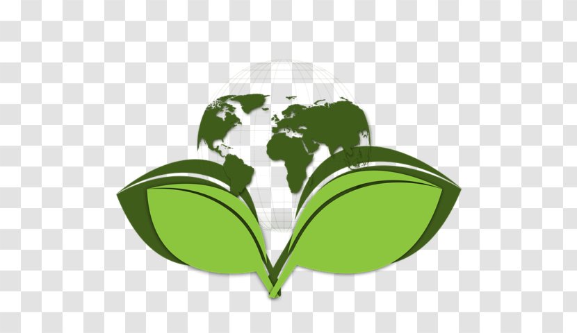 Environmentally Friendly Natural Environment Sustainability Environmental Issue Green Building - Goods Transparent PNG