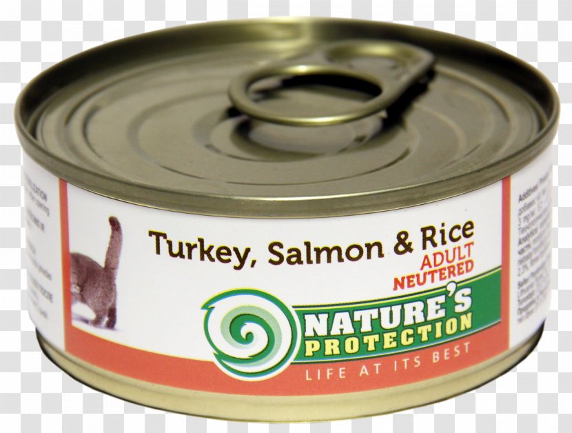 Cat Kitten Canning Chicken As Food Atlantic Salmon - P%c3%a2t%c3%a9 Transparent PNG