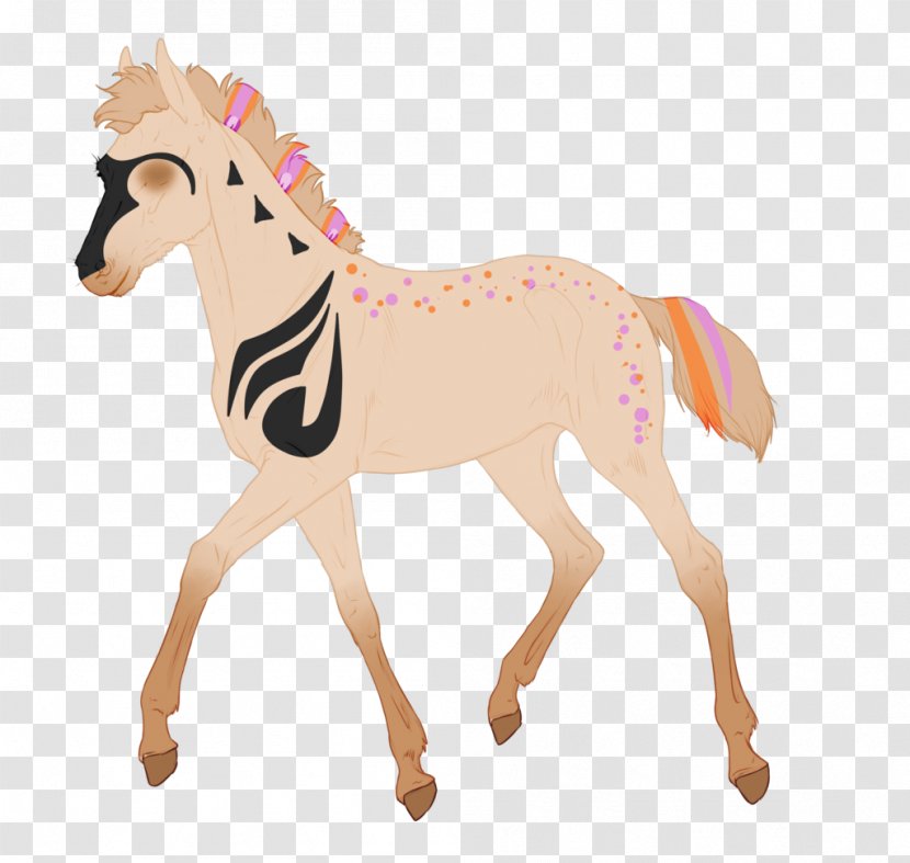 Mustang Foal Stallion Colt Mare - Pony Transparent PNG