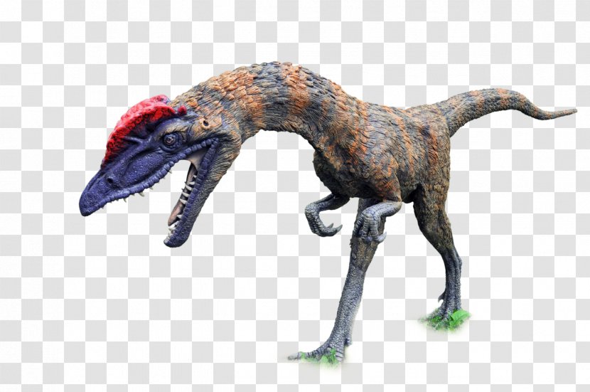 Tyrannosaurus Spinosaurus Velociraptor Dinosaurs Pack Suchomimus - Dinosaur Transparent PNG