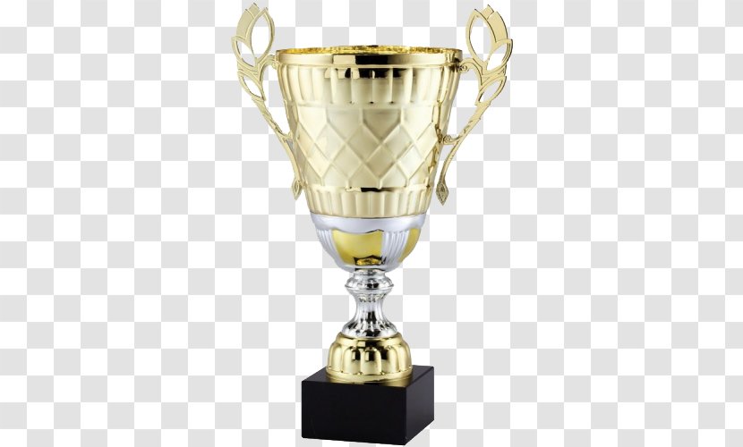 Trophy Cup Metal Award Gold - Cricket World Transparent PNG