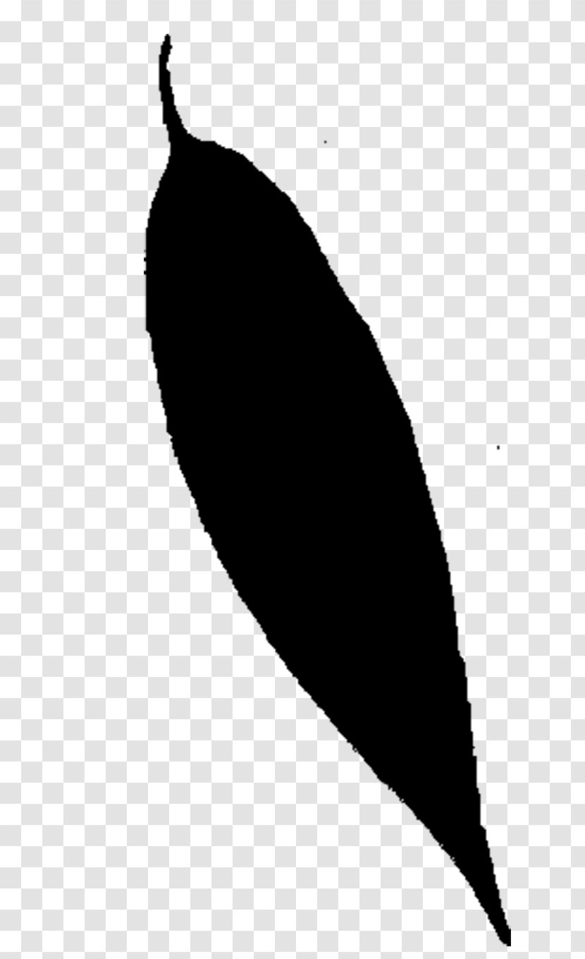 Leaf Line Black M - Blackandwhite Transparent PNG