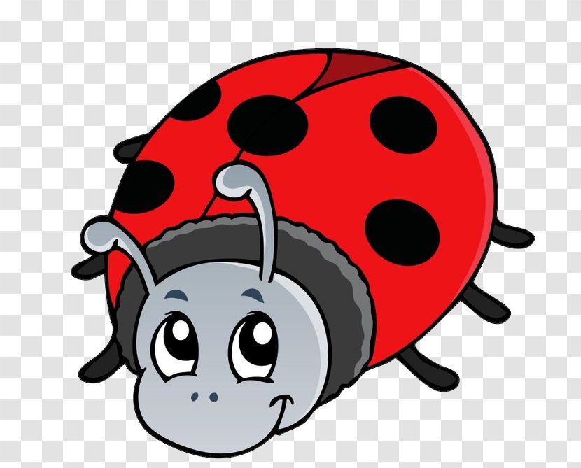 Insect Drawing Cartoon - Royaltyfree Transparent PNG