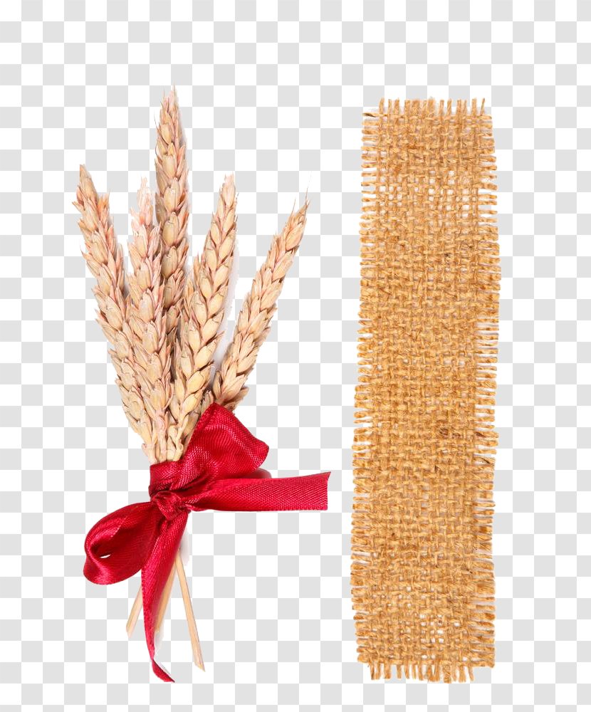 Wheat Photography Ear - Grain - Sacks, Cloth And Transparent PNG