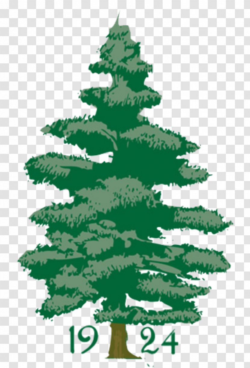 Penobscot Valley Country Club Golf Course Christmas Tree - Conifer Transparent PNG