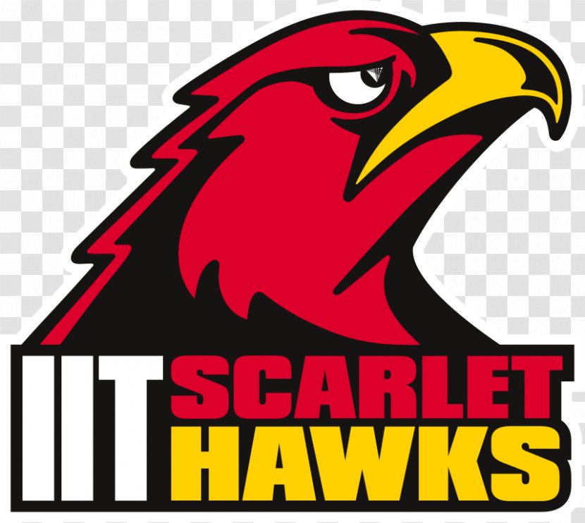Illinois Institute Of Technology Chicago-Kent College Law Milwaukee School Engineering Tech Scarlet Hawks Men's Basketball Student - Men S - Hawk Transparent PNG