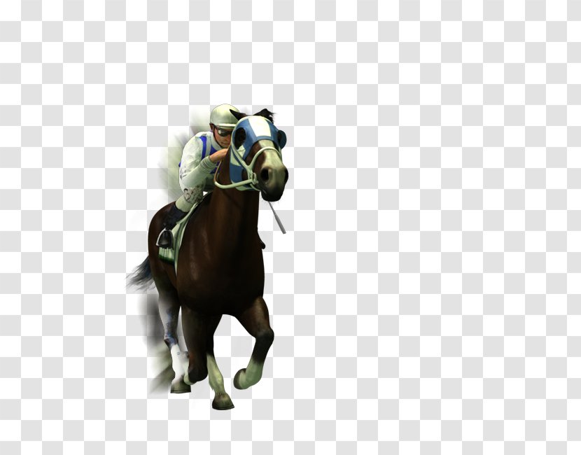 Horse Racing Jockey Sports Betting Gambling - Video Game Transparent PNG