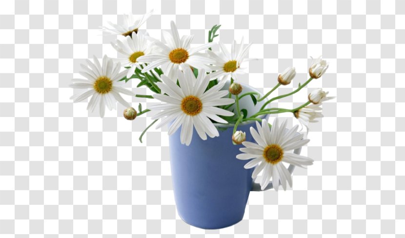 Giphy Flower Desktop Wallpaper Chamomile - Marguerite Daisy Transparent PNG