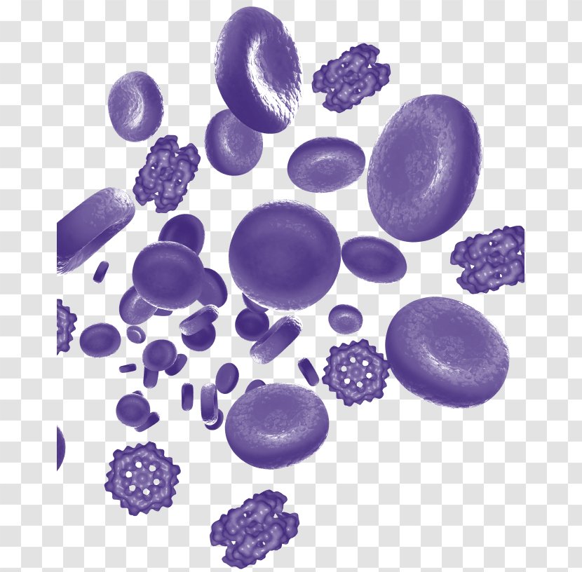 Product Design Organism Purple - Blood - New York Poster Transparent PNG