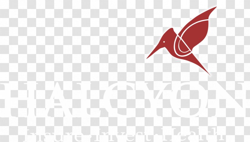 Logo Beak Desktop Wallpaper Font - Computer - Design Transparent PNG