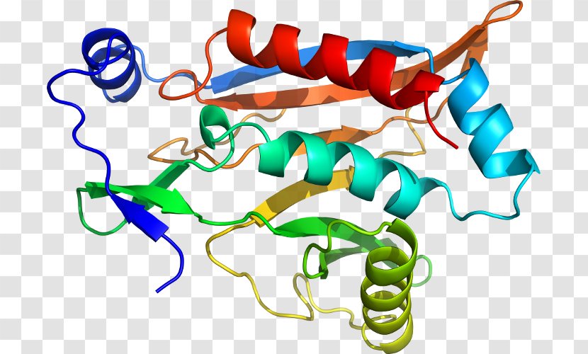 Benzylpenicillin Chloramphenicol Quizlet Organism Clip Art - Pubchem - Artwork Transparent PNG