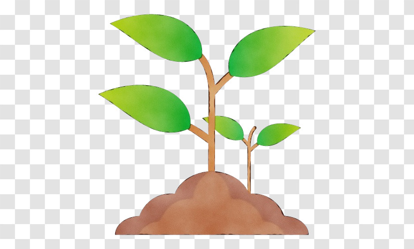 Plant Stem Dice Plants Leaf Science Transparent PNG