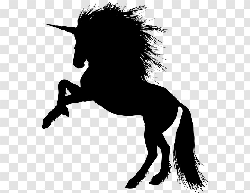 Horse Stallion Rearing Clip Art - Mustang Transparent PNG