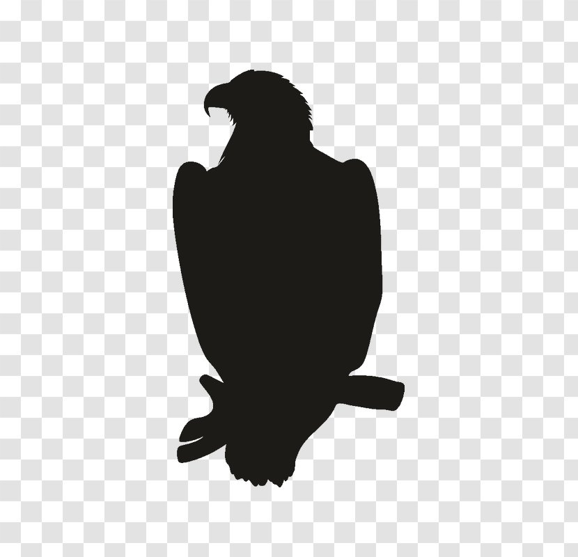 Eagle Logo - Falconiformes - Wildlife Transparent PNG