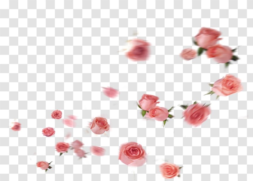 Garden Roses Petal Flower - Artificial Transparent PNG