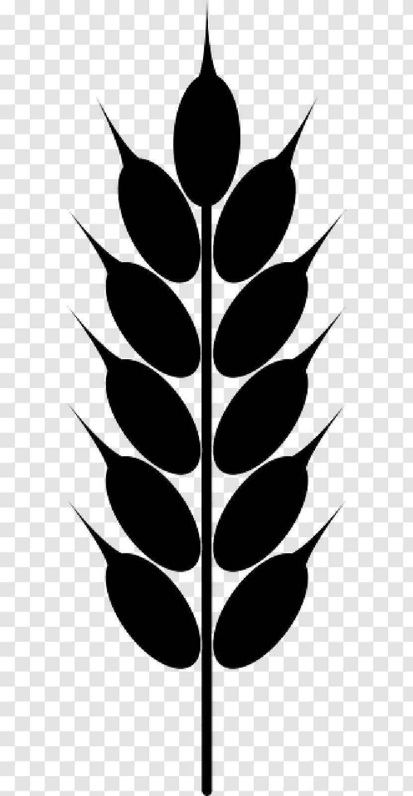 Clip Art Cereal Vector Graphics Wheat Grain - Leaf - Crop Transparent PNG
