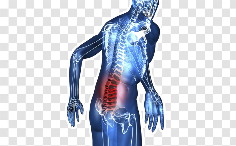 Low Back Pain Neck Injury Human - Frame Transparent PNG