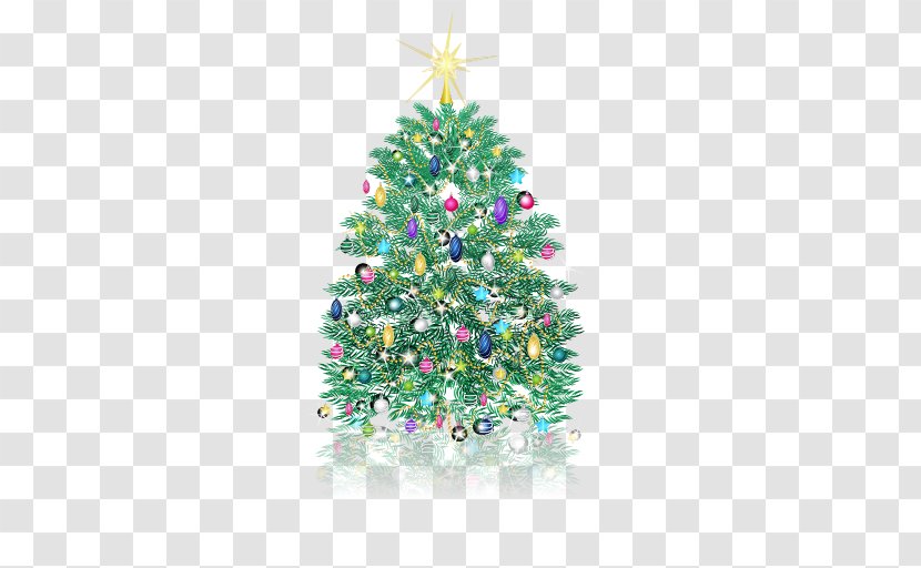 Christmas Tree Pine - Conifer Transparent PNG