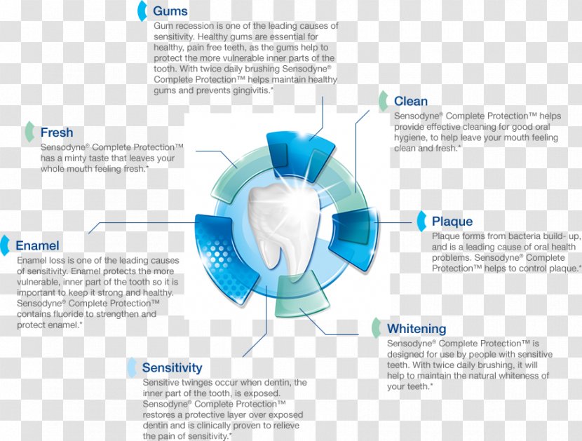 Toothpaste Sensodyne Tooth Brushing Dentin Hypersensitivity - Joint - Protect Teeth Transparent PNG