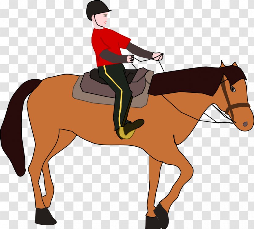 Horse&Rider Equestrianism Clip Art - Stallion - Horse Rider Cliparts Transparent PNG