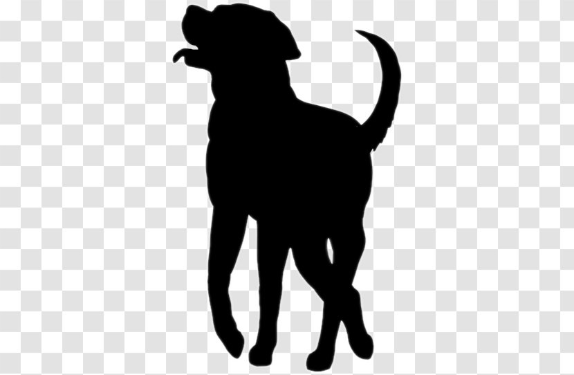 Cat Dog Puppy Pet Canidae - Journey Transparent PNG