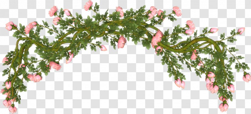 Cut Flowers Rose - Tree - Rama Transparent PNG