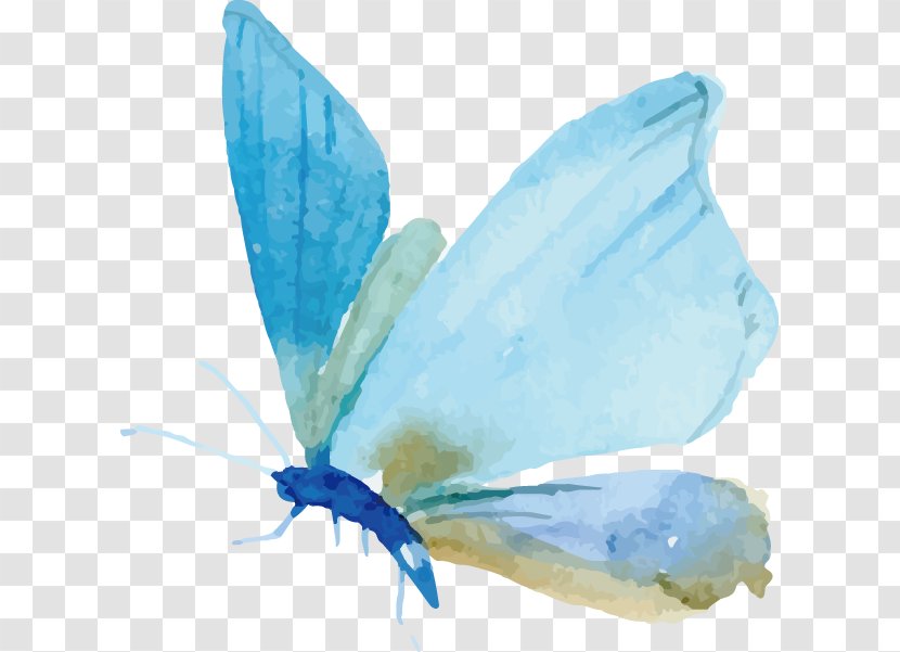 Butterfly Watercolor Painting Moth Euclidean Vector - Pollinator - Painted Transparent PNG