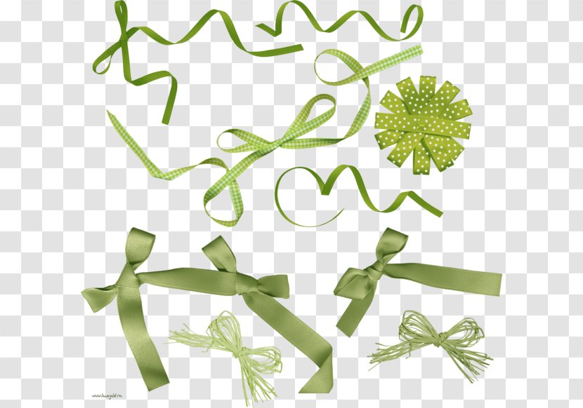 Blue Green Gift Clip Art - Flora Transparent PNG