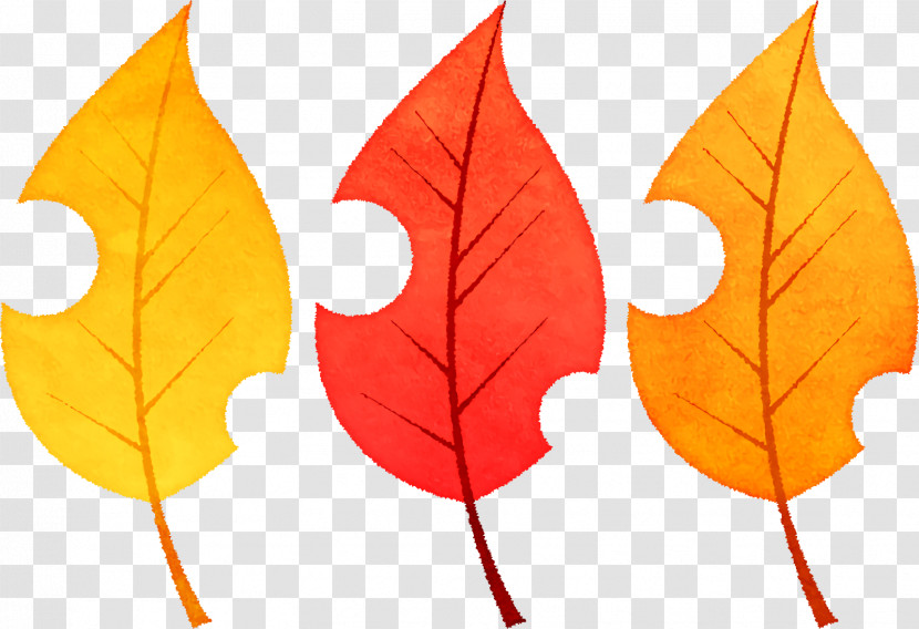 Leaf Deciduous Photosynthesis Root Photosynthetic Pigment Transparent PNG