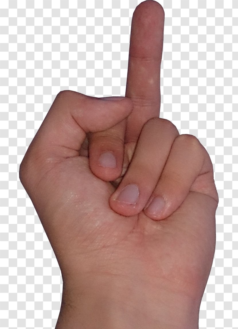 Middle Finger Hand Thumb Arm - Fingers Transparent PNG