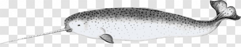 Unicorn Drawing - Narwhal - Oily Fish Products Transparent PNG