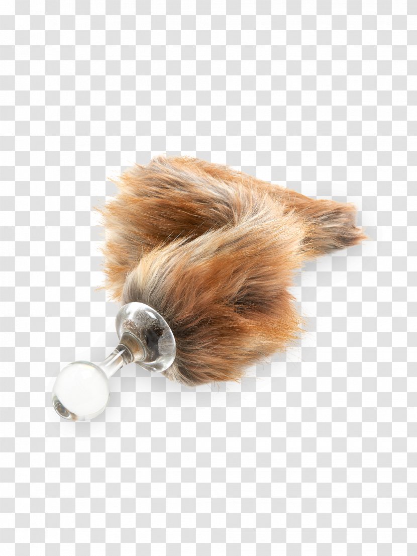 Dog Tail Fur Snout Canidae - Foxtail Transparent PNG