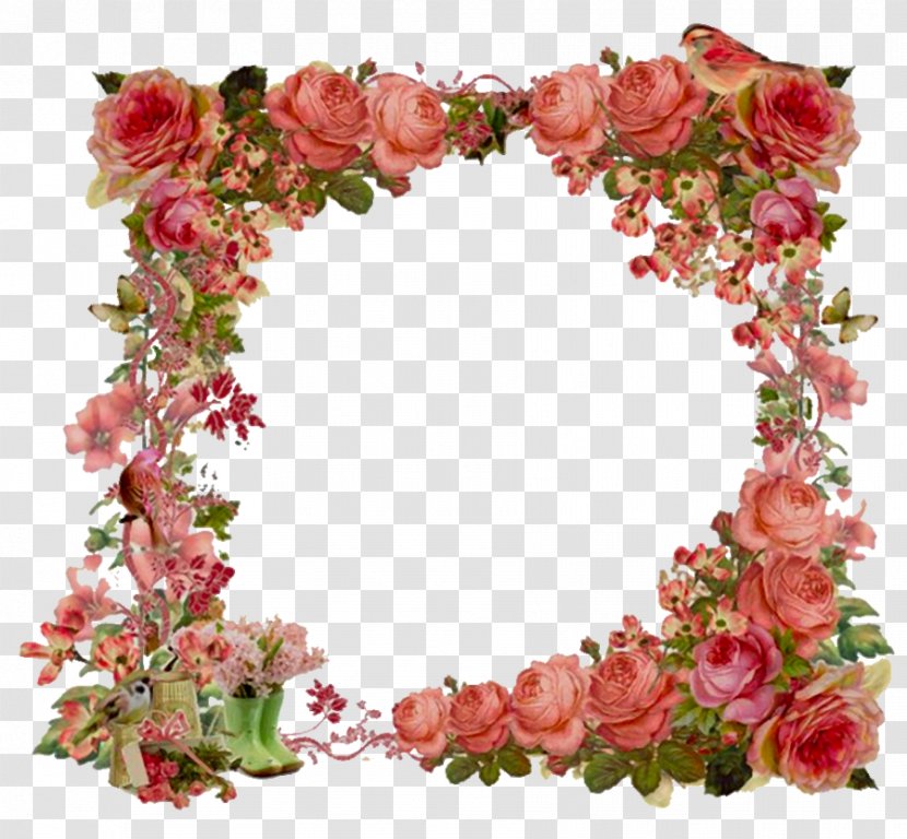Flower Picture Frames Vintage Clothing Shabby Chic Clip Art - Rose Family Transparent PNG