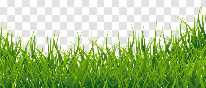 Thumbnail Clip Art - Easter - Grass Clipart Picture Transparent PNG