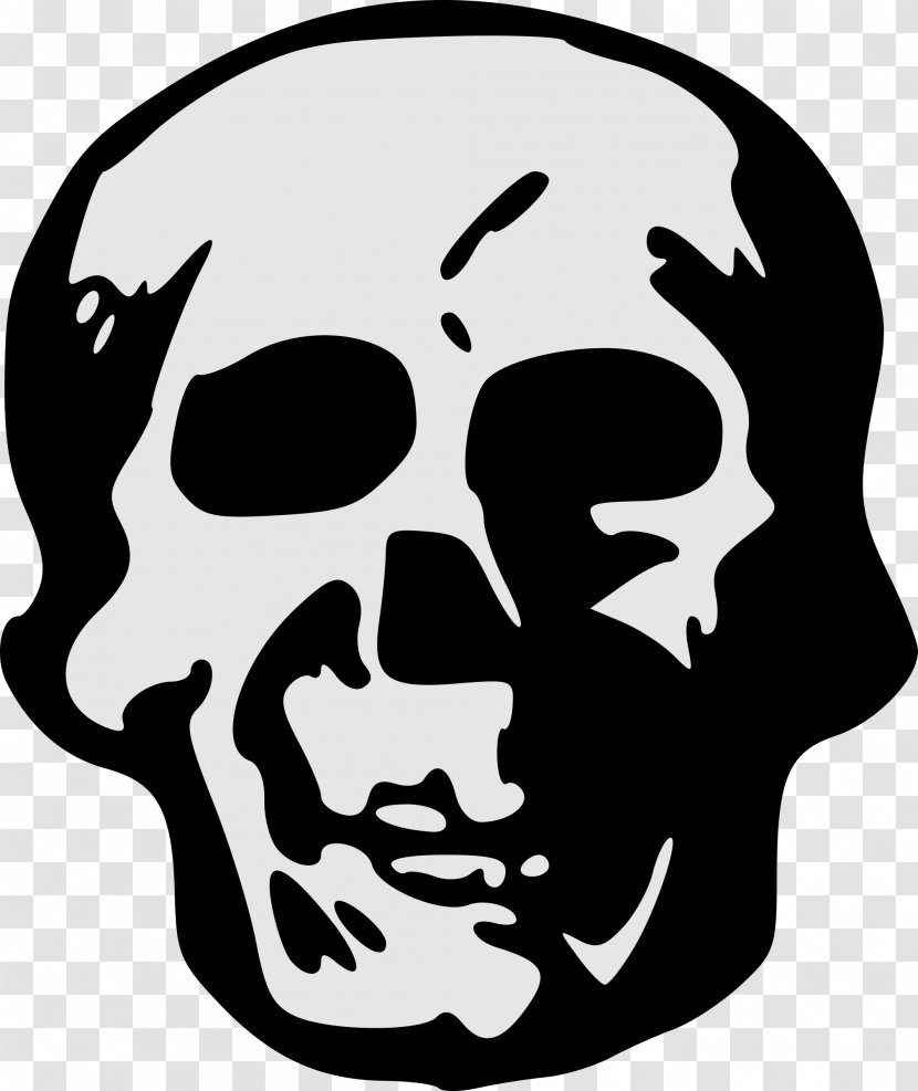Face Fiction Skull Perspiration Jaw - Homo Sapiens Transparent PNG