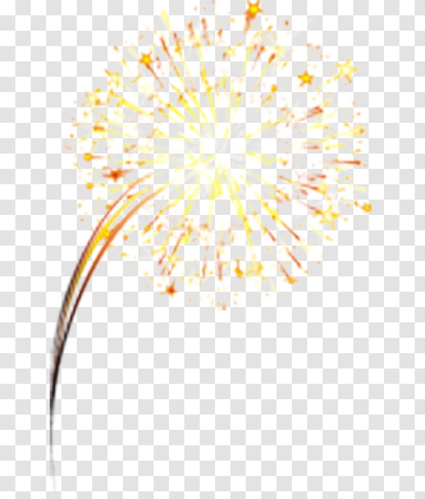 Fireworks Pyrotechnics - Symmetry - Festive Transparent PNG