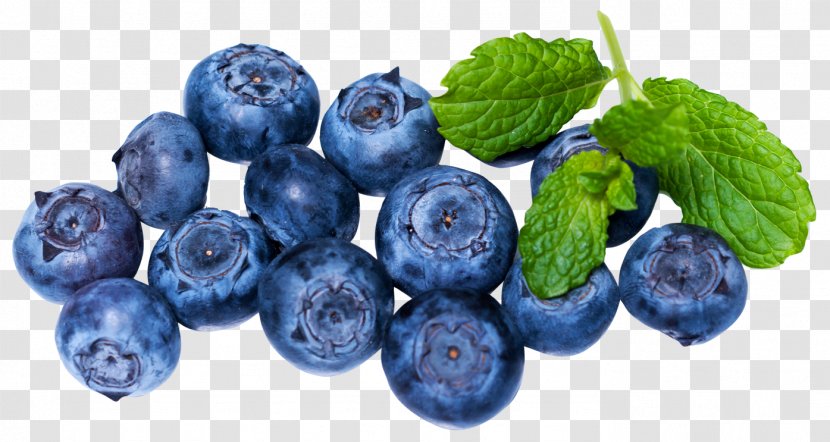 European Blueberry Juice Fruit - Bilberry - Blueberries Transparent PNG