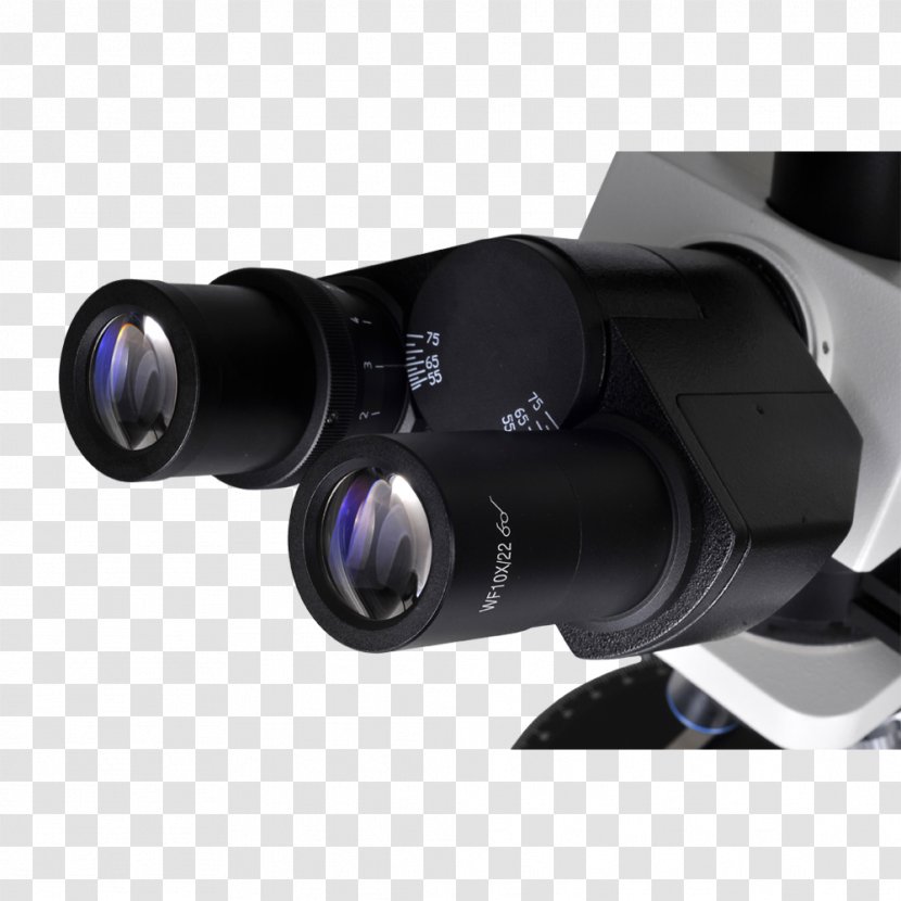 Polarized Light Microscopy Polarizer Petrographic Microscope Optical - Instrument - Hardware Transparent PNG