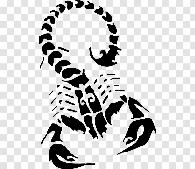 Scorpion Tattoo Flash Drawing - White - Scorpio Transparent PNG