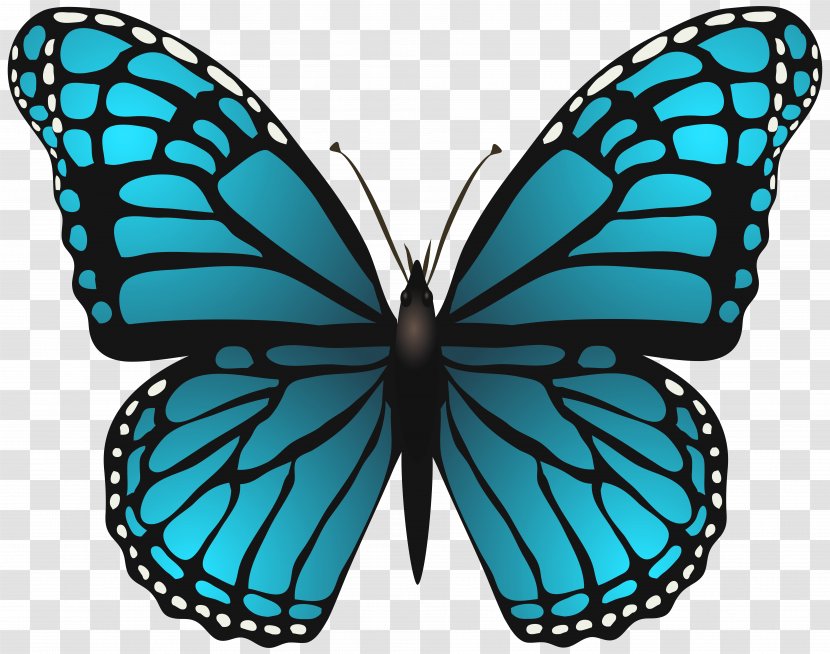 Butterfly Blue Stock Photography Clip Art - Monarch Transparent PNG
